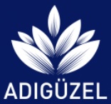 Adıgüzel Yapı